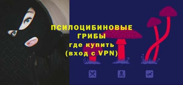сатива Белоозёрский